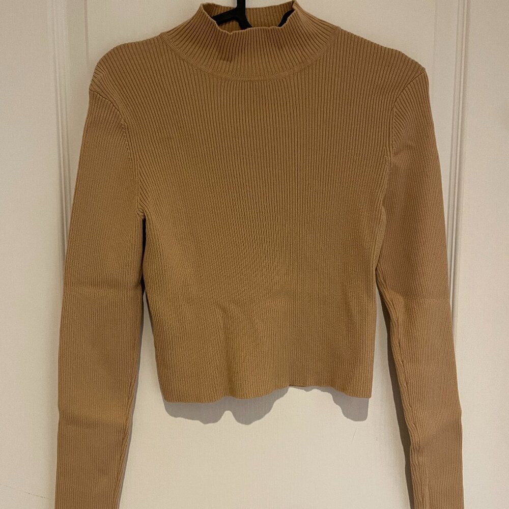 brown turtle neck